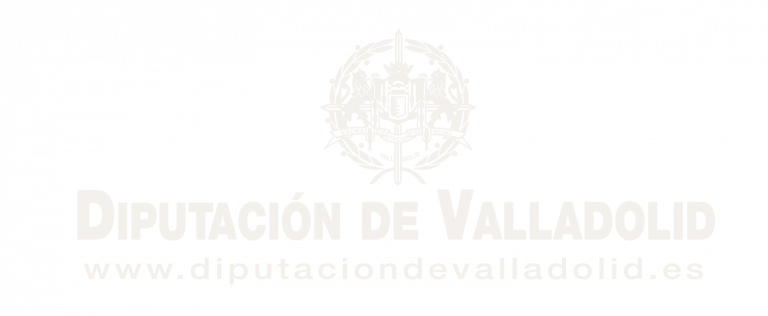 Logotipo Diputación de Valladolid