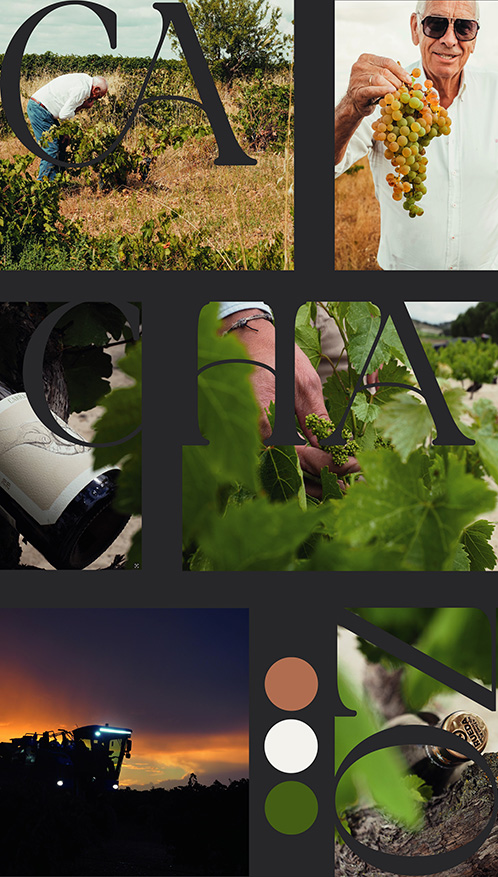 Bodegas Félix Lorenzo Cachazo